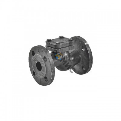 Клапан обратный чугун подъем 16кч9нж Ду50 Ру25 фл д/чуг RMCX, Россия